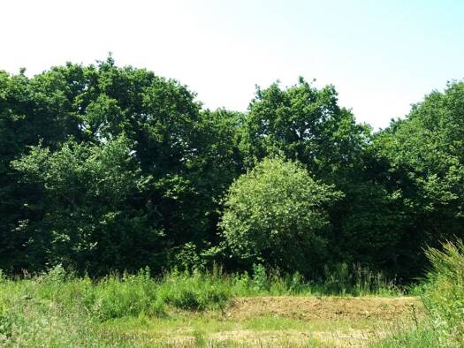 Terrain constructible à vendre 266 500 € 410 m² de terrain Saint-Briac-sur-Mer 35800