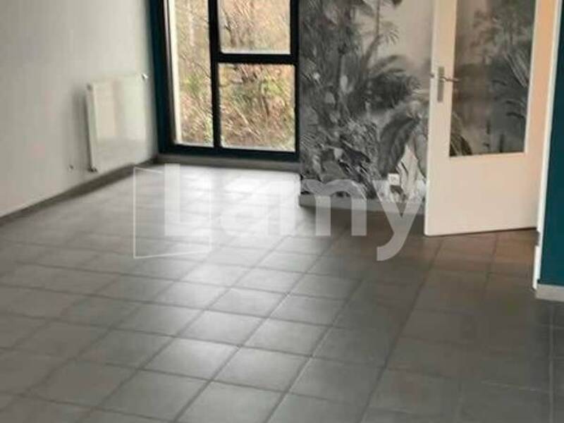 Maison à louer, 106m², FONTAINES SUR SAONE