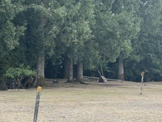 Terrain constructible viabilisé à vendre 199 000 € 1 217 m² de terrain Arsac 33460