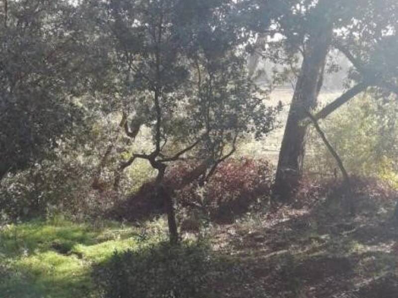 Maison à louer, 63m², LAMBESC