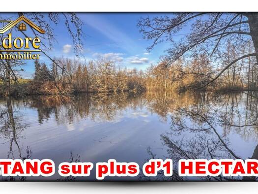 Terrain à vendre 139 000 € 11 165 m² de terrain Coinches 88100