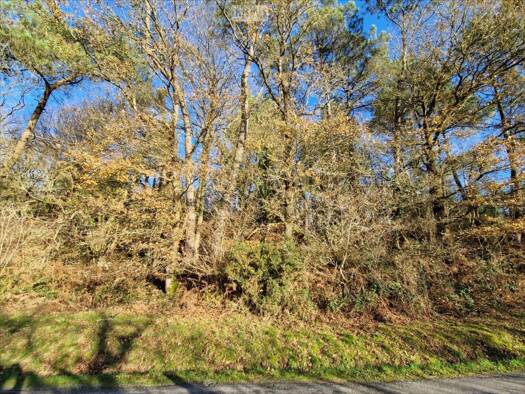 Terrain à vendre 2 800 € 2 685 m² de terrain Trédion 56250