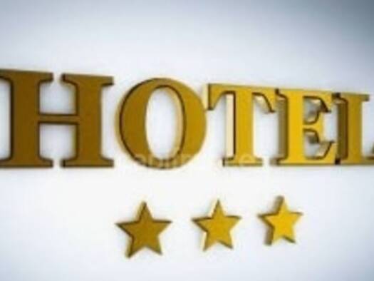 Hôtel à vendre Fonds de commerce 1 452 000 € 25 pièces 563 m² d'espace de restauration Distré 49400