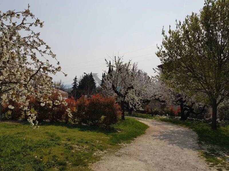 Maison à louer, 90m², SAUZET