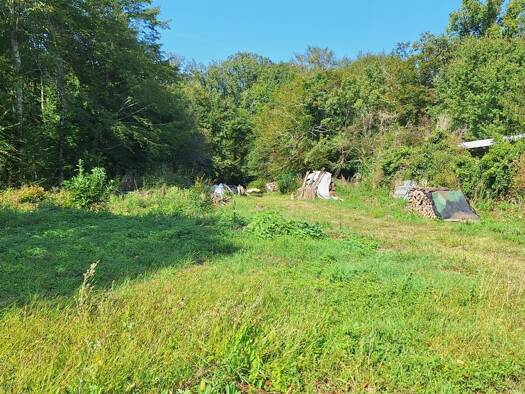 Terrain constructible à vendre 28 000 € 1 667 m² de terrain Luant 36350