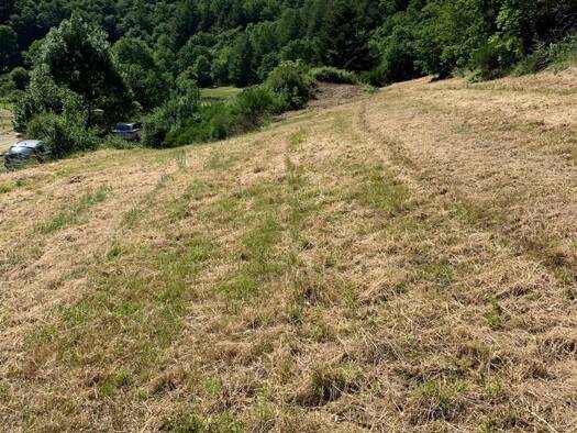 Terrain constructible viabilisé à vendre 15 000 € 1 121 m² de terrain Balaguier-sur-Rance 12380