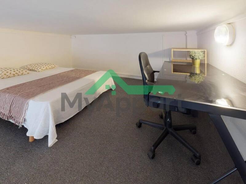 Maison à louer, 21m², LYON 7E