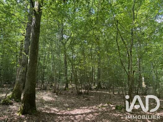 Terrain à vendre 170 500 € 211 447 m² de terrain Lantan 18130