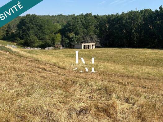 Maison à vendre 450 000 € 6 pièces 5 chambres 142 m² 42 206 m² de terrain Villemur-sur-Tarn 31340