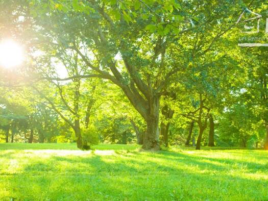 Terrain constructible à vendre 92 000 € 3 446 m² de terrain Ailly-sur-Noye 80250