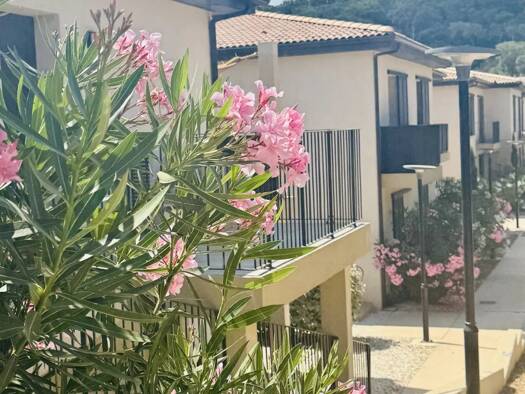 Appartement à vendre - Première occupation 385 000 € 3 pièces 2 chambres RDC Bonifacio 20169