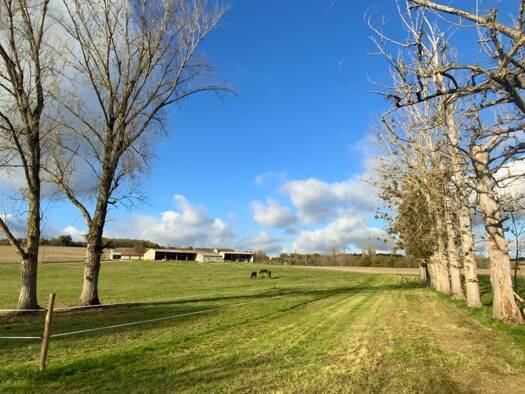 Maison à vendre 304 000 € 5 pièces 4 chambres 160 m² 50 000 m² de terrain Laperche 47800