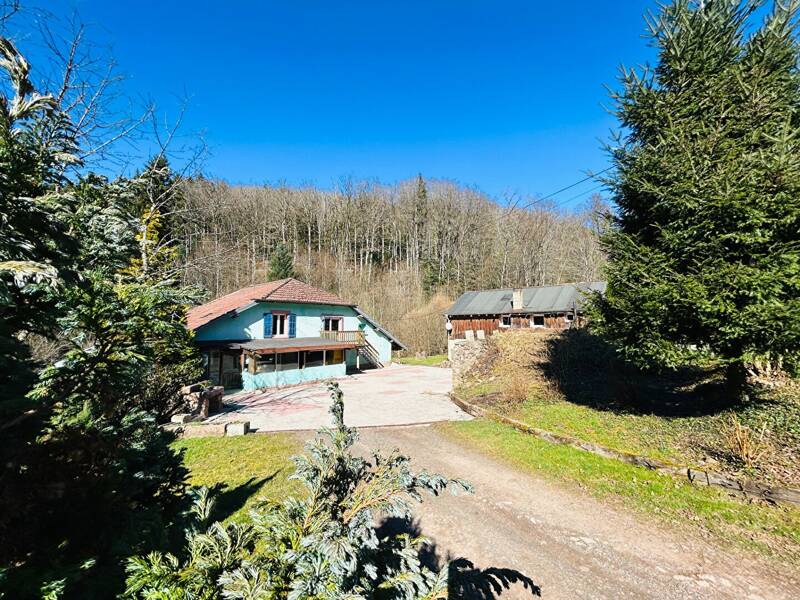 Maison à vendre, 302m², STRASBOURG