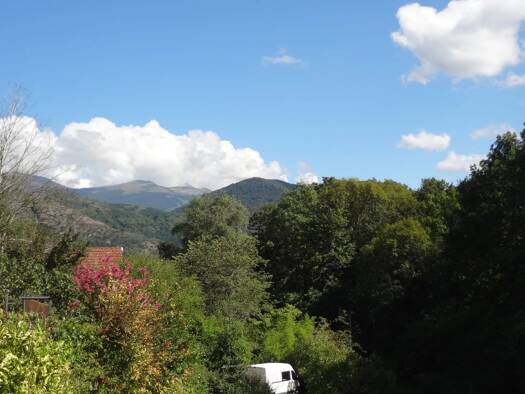 Maison en viager occupé Bouquet 47 500 € 3 pièces 2 chambres 71 m² 1 304 m² de terrain Surba 09400