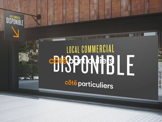 Local commercial à vendre 250 000 € 330 m² de surface de vente Mareuil sur Lay Dissais 85320
