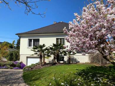 Maison à vendre 799 000 € 7 pièces 6 chambres 204 m² 913 m² de terrain Est La Wantzenau 67610