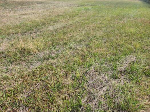 Terrain constructible à vendre 42 000 € 2 000 m² de terrain Saint-Germain-Laval 42260