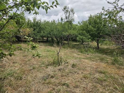 Terrain constructible viabilisé à vendre 195 000 € 600 m² de terrain Lapeyrouse-Fossat 31180