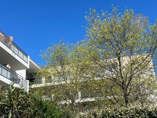 Appartement à vendre 79 000 € 1 pièce 33 m² Étage 2/3 Avignon 84000