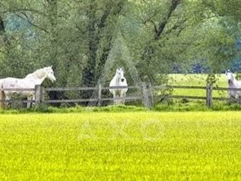 Maison à vendre, 240m², VILLEMER