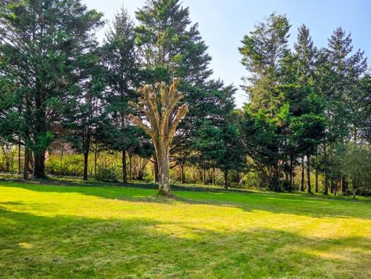 Terrain constructible à vendre 315 000 € 2 650 m² de terrain Banjan-Fontenelles-Maillets Le Mans 72000