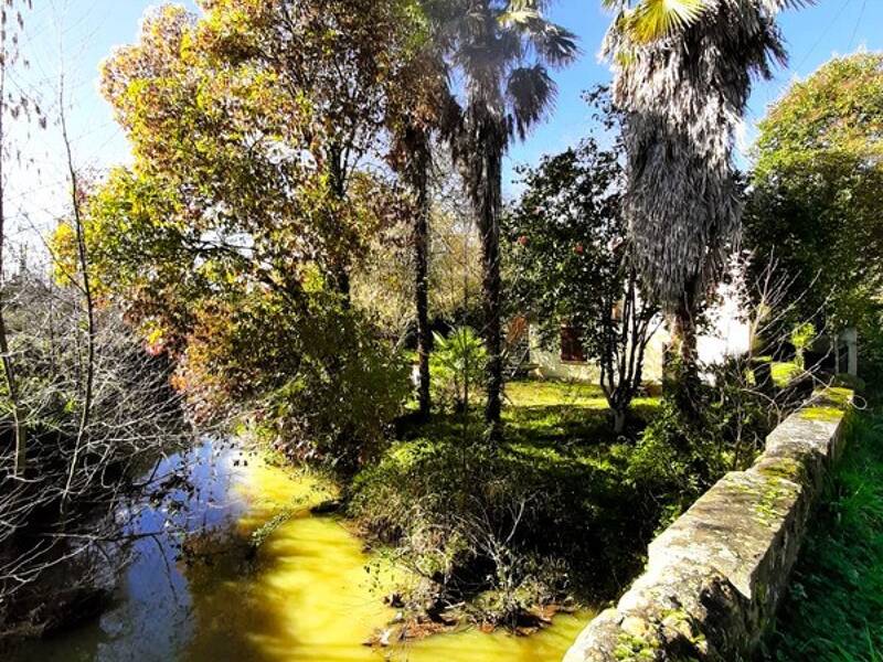 Maison à vendre, 90m², RISCLE