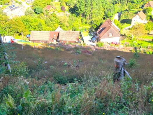 Terrain constructible à vendre 23 200 € 1 324 m² de terrain Bourbach-le-Haut 68290