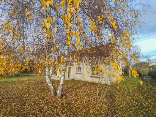 Maison à vendre 242 000 € 5 pièces 2 chambres 134 m² Dampierre-en-Burly 45570