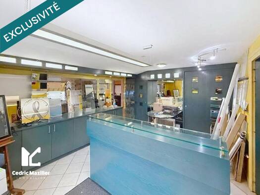 Local commercial à vendre 282 435 € 330 m² de surface de vente Est Belleville-en-Beaujolais 69220