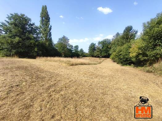 Terrain constructible à vendre 59 000 € 3 644 m² de terrain Le Vigen 87110