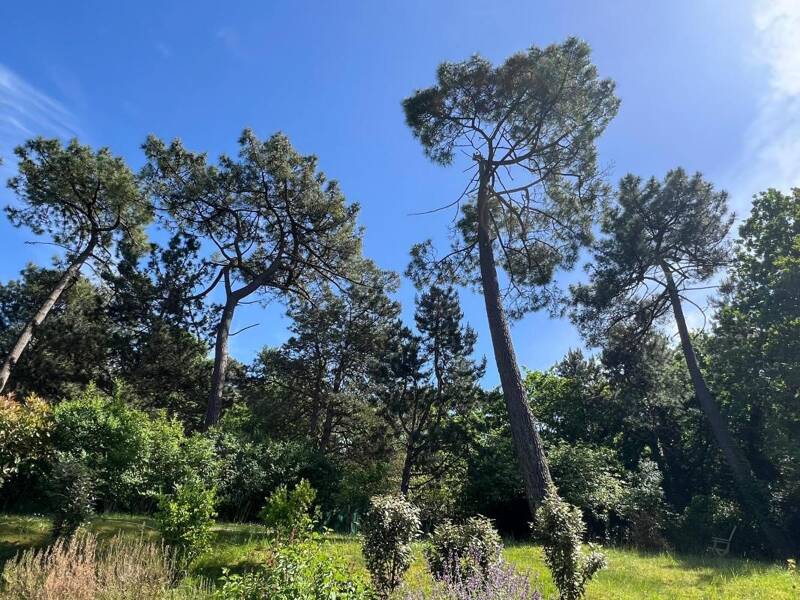 Maison à vendre, 268m², LE TOUQUET PARIS PLAGE