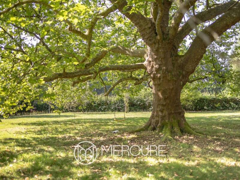 Maison à vendre, 360m², LIMOGES