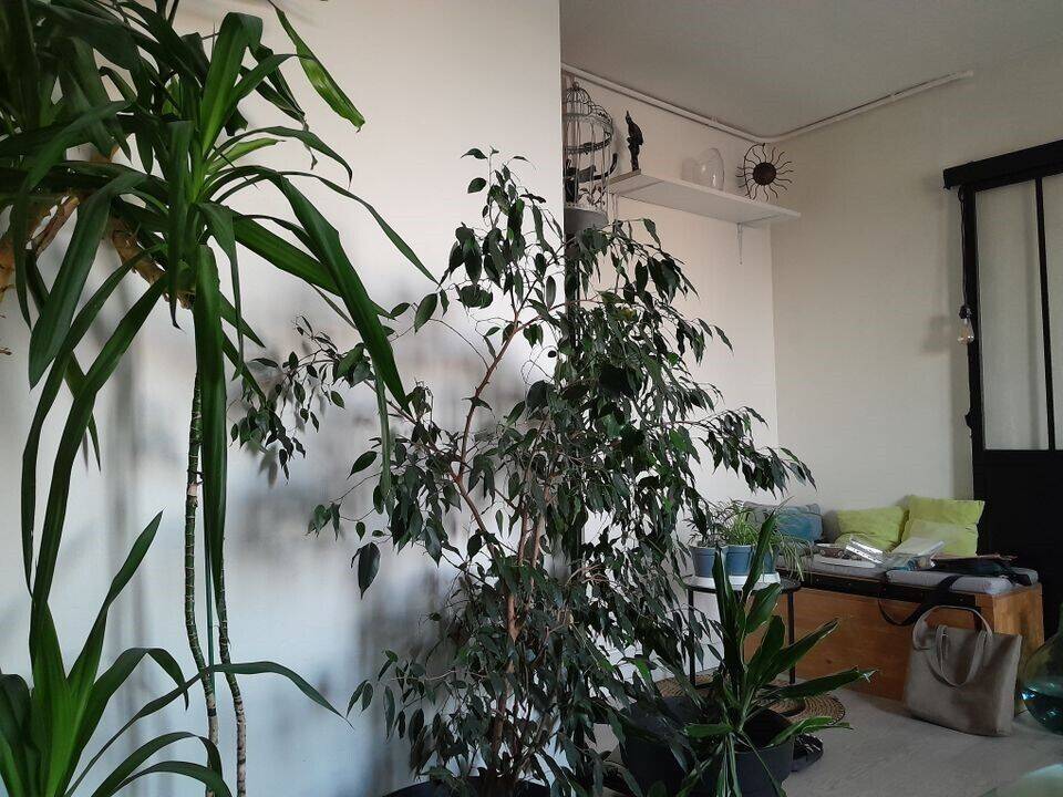 Maison à louer, 10m², MONTREUIL