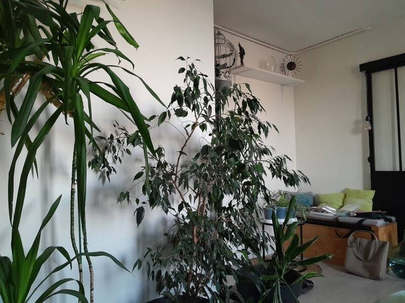 Maison à louer, 10m², MONTREUIL