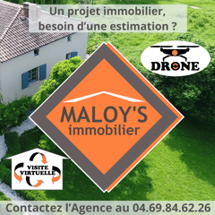 MALOY S immobilier Spécialiste du secteur Lyonnais logo