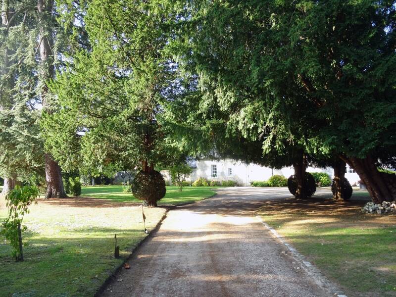 Maison à vendre, 300m², TOURS