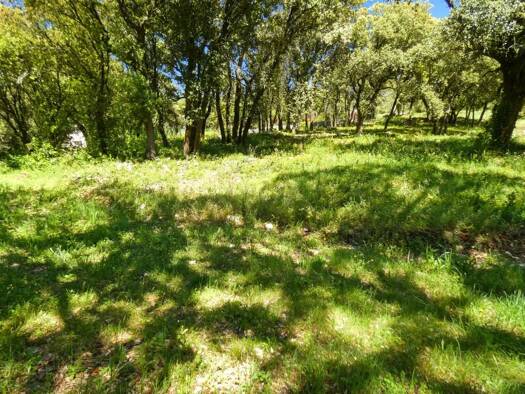 Terrain constructible à vendre 319 300 € 8 264 m² de terrain Uzès 30700