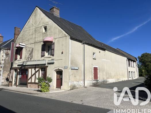 Maison de ville à vendre 192 000 € 14 pièces 13 chambres 356 m² 449 m² de terrain Chémery 41700