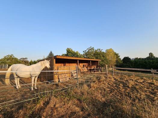 Maison à vendre 385 000 € 6 pièces 3 chambres 210 m² 50 000 m² de terrain Grateloup-Saint-Gayrand 47400