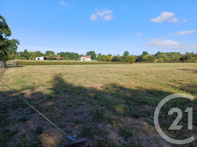 Maison à vendre, 206m², BELLENGREVILLE