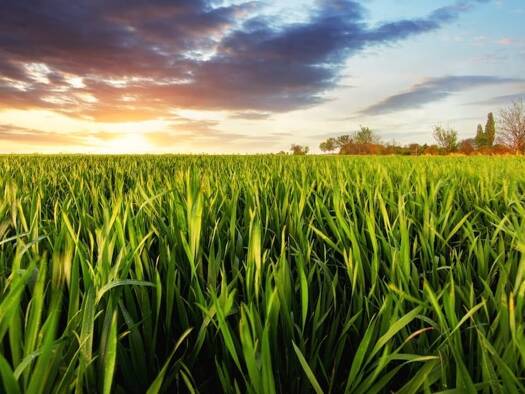 Terrain constructible viabilisé à vendre 103 500 € 789 m² de terrain Val-d'Usiers 25520