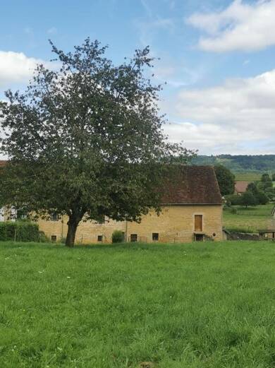 Maison en viager occupé Bouquet 211 000 € 3 pièces 2 chambres 400 m² Trenal 39570