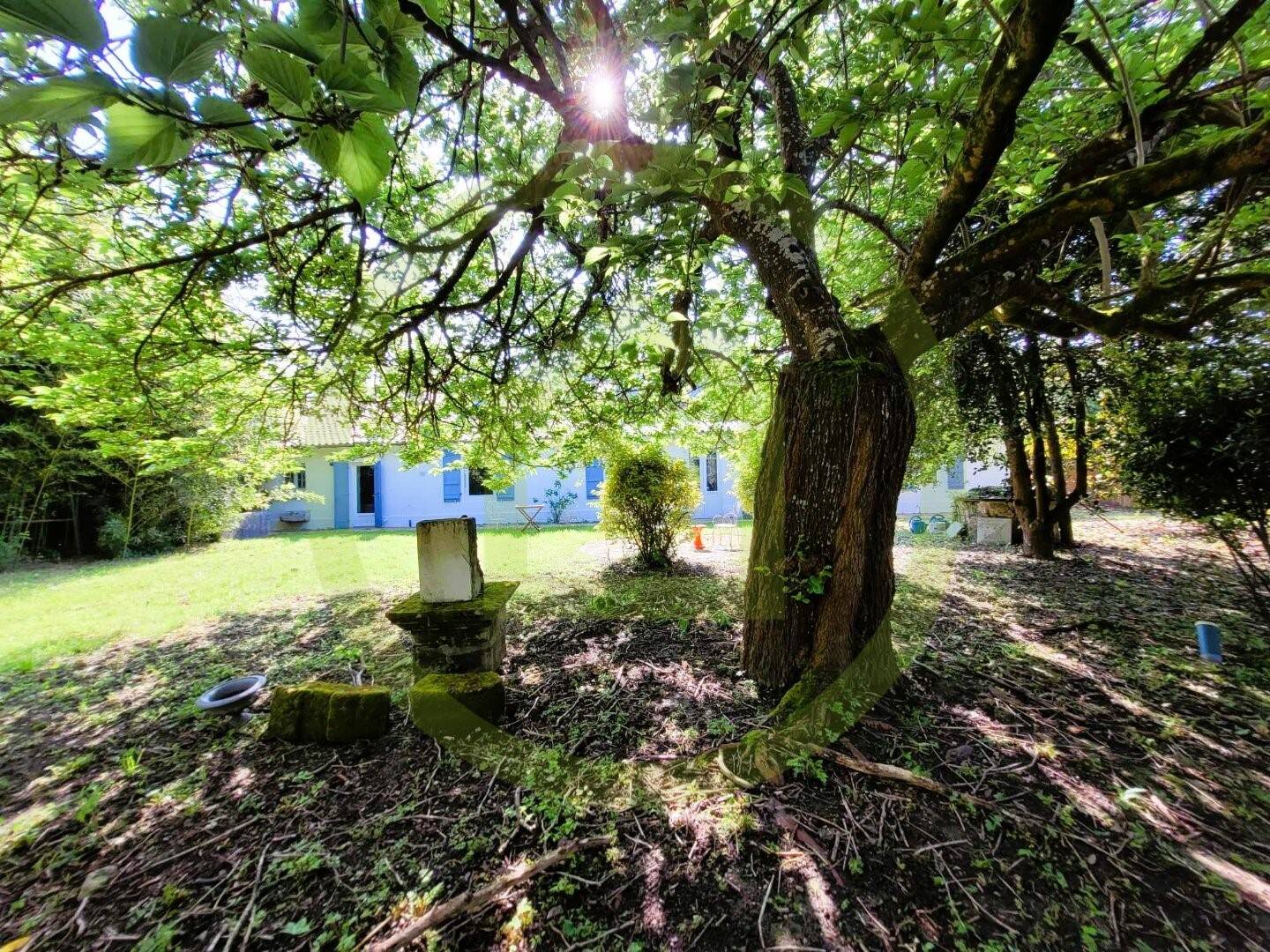 Maison à vendre, 380m², SAINT DIZANT DU GUA