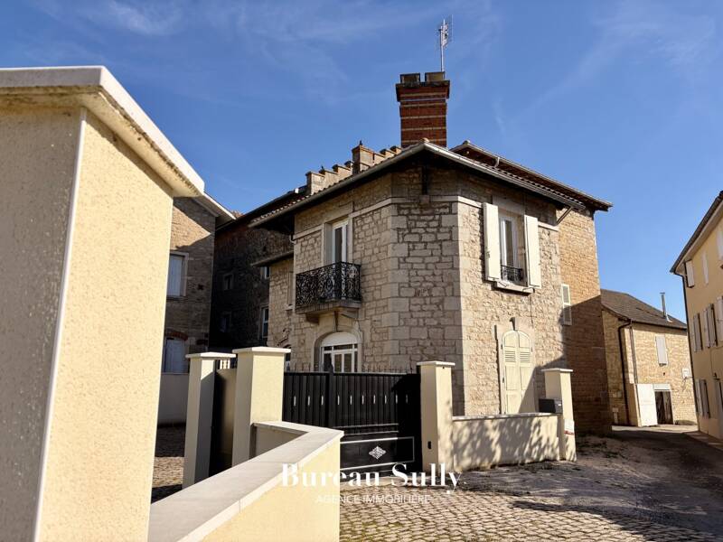 Maison à vendre, 300m², SAINT DIDIER SUR CHALARONNE
