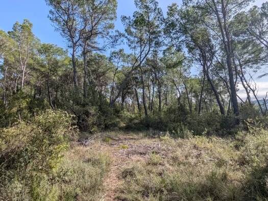 Terrain à vendre 22 000 € 23 790 m² de terrain Villecroze 83690