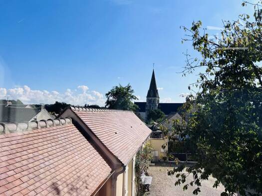Maison à vendre 900 000 € 9 pièces 7 chambres 337 m² 2 500 m² de terrain Chamant 60300