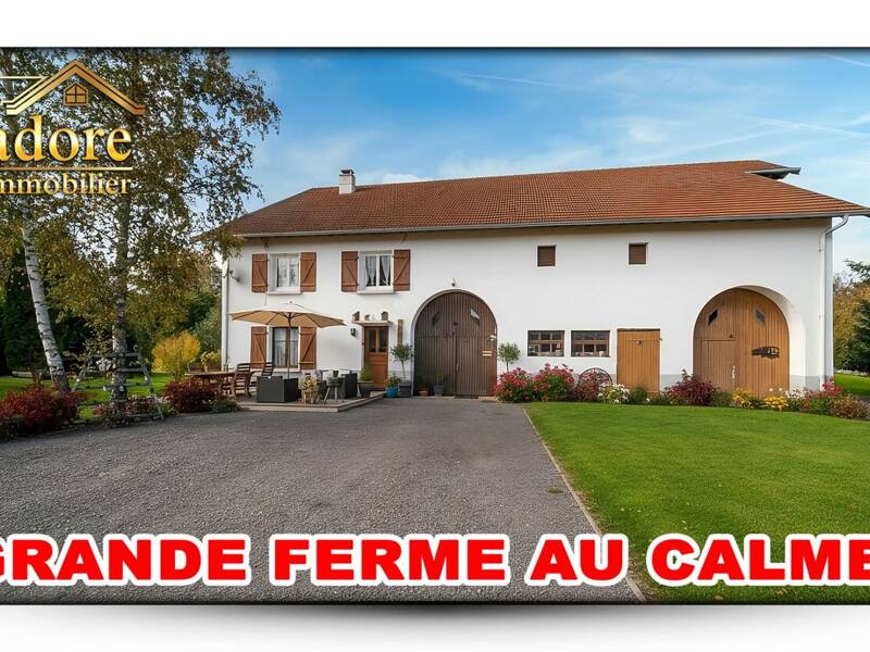 Maison à vendre, 200m², SAULCY SUR MEURTHE