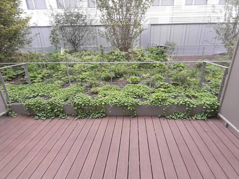 Maison à louer, 25m², ISSY LES MOULINEAUX