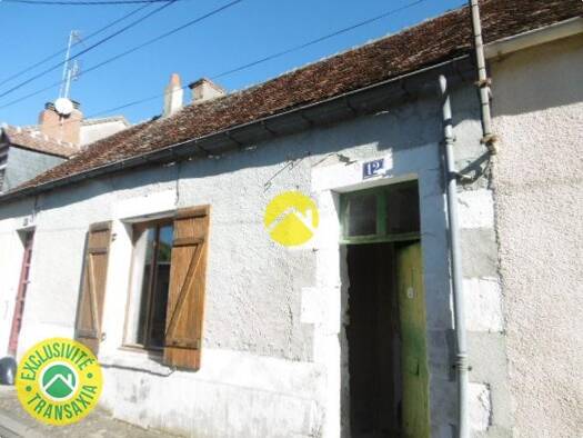 Maison à vendre 19 500 € 2 pièces 1 chambre 46 m² 142 m² de terrain Le Blanc 36300