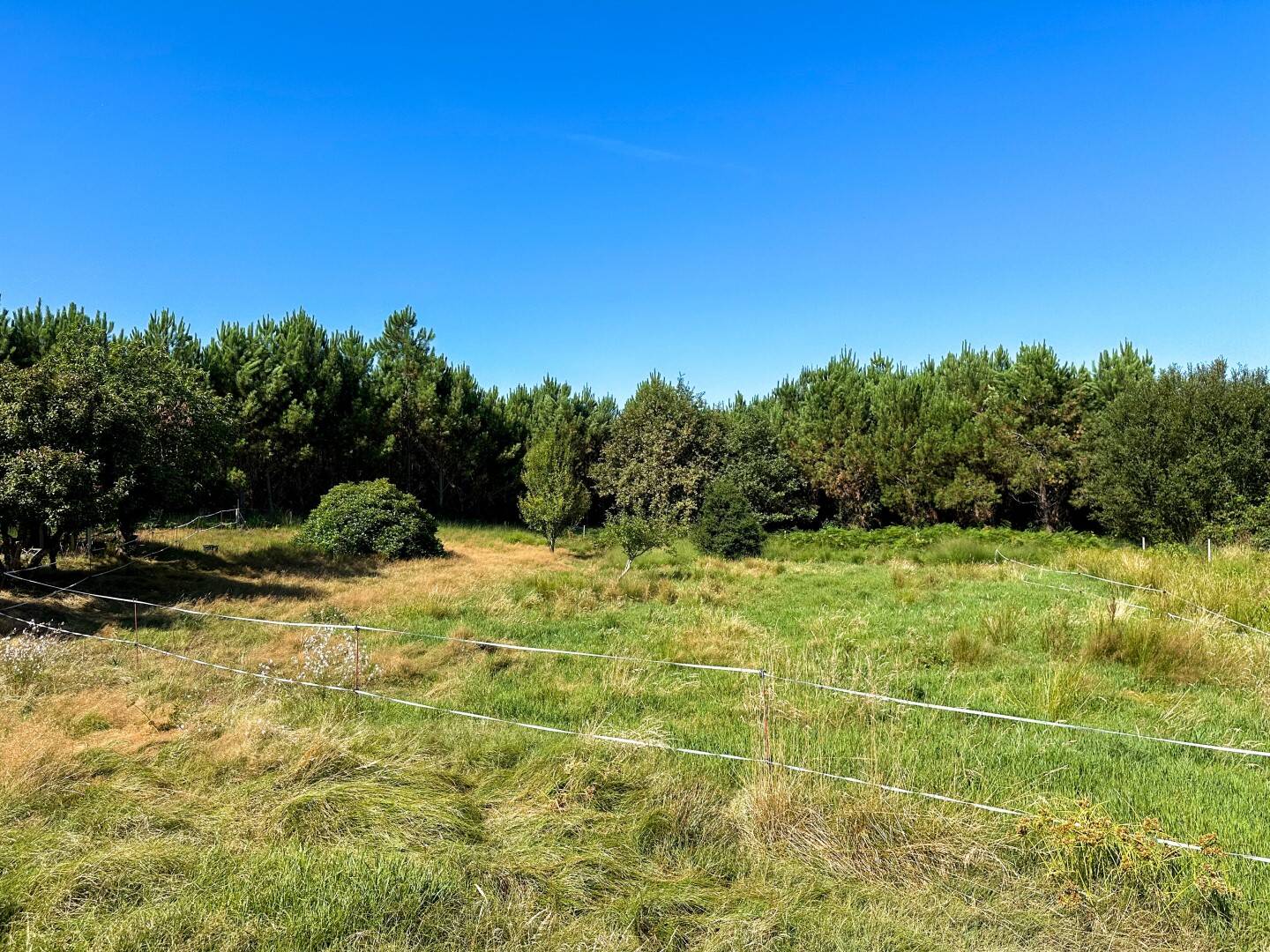 Maison à vendre, 191m², SAINT JULIEN EN BORN